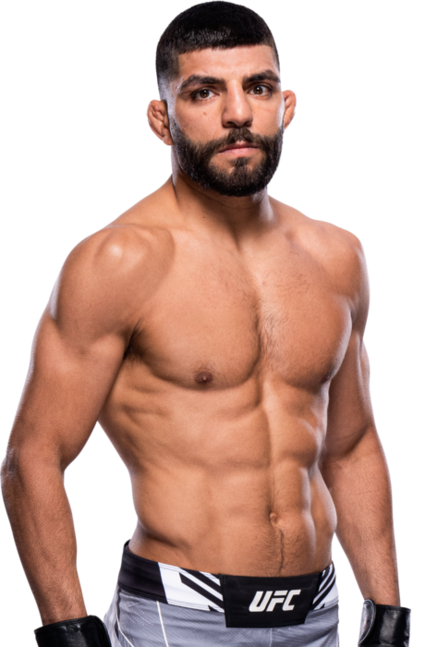 profil-amir-albazi