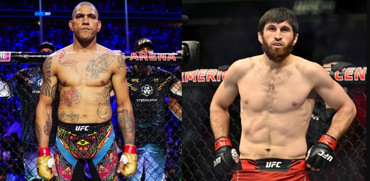 Pronostic Alex Pereira Vs Magomed Ankalaev