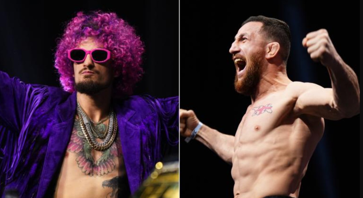 Pronostic Sean O'malley Vs Merab Dvalishvili